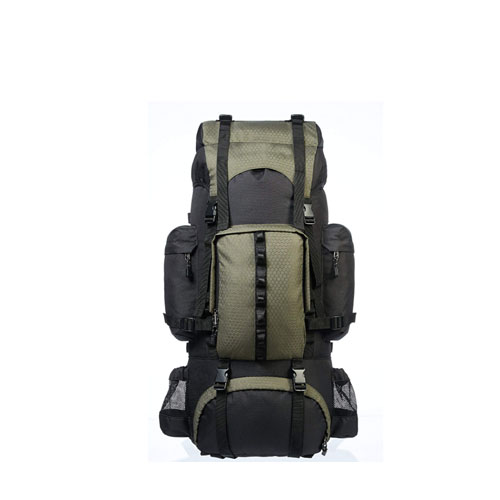 internal frame 60 L backpack